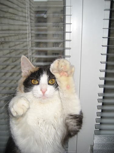 ����� - ����� ����-�� :)