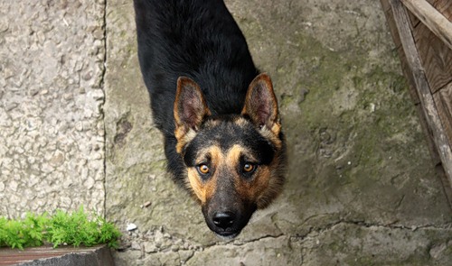 ���-�����-������� :)