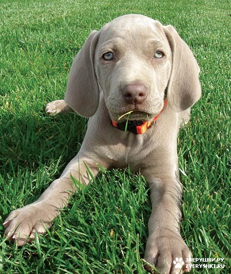 ������� ����� ������������ :)