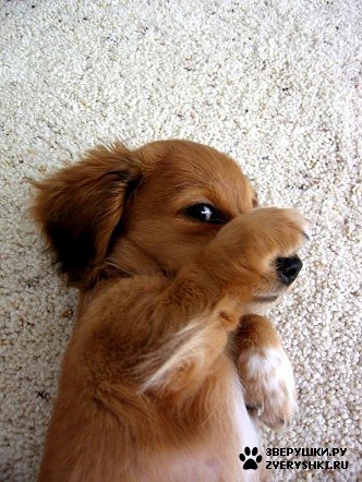 ���������, ��� �� ��������? :)