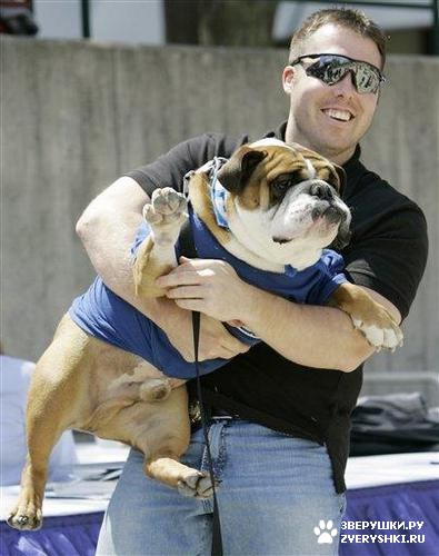 �������� ������� :) (8 ����)