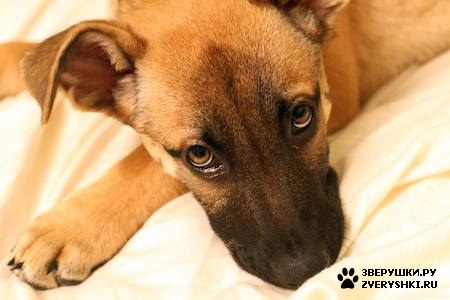 ����� :) (12 ����)