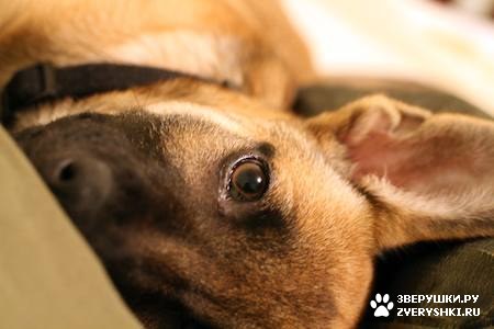 ����� :) (12 ����)