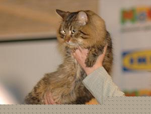 ��������� ����� ��� ����