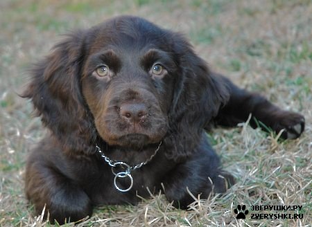 ������, ��������� ����������� :) (8 ����)