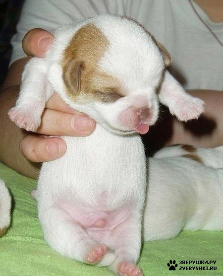 ����� ����� ��� ����������� � ������ ��� ������ :)