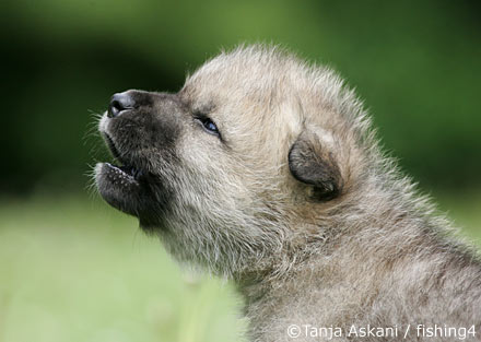 ���� � ������