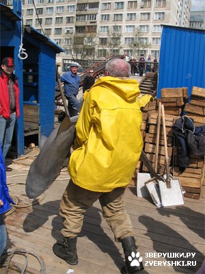 ����� � ���� (8 ����)