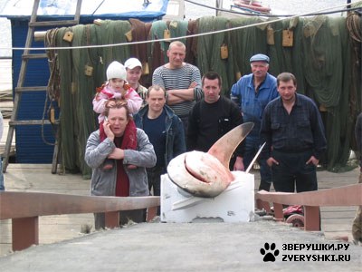 ����� � ���� (8 ����)