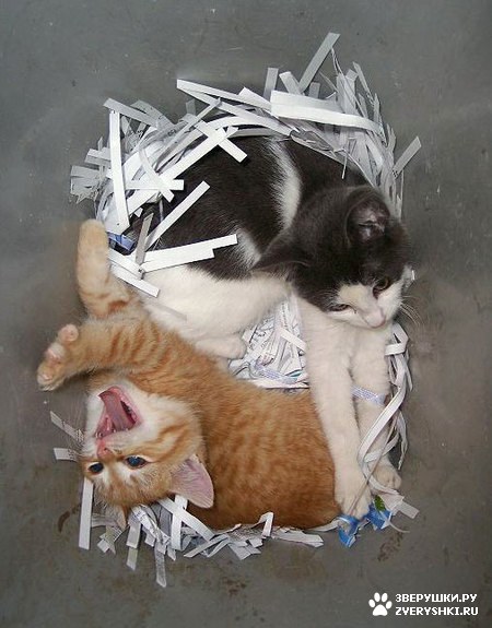 ������, ������ �������� :)