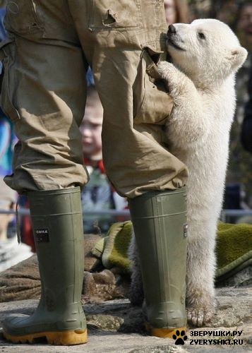 ���������� ���� (20 ����)