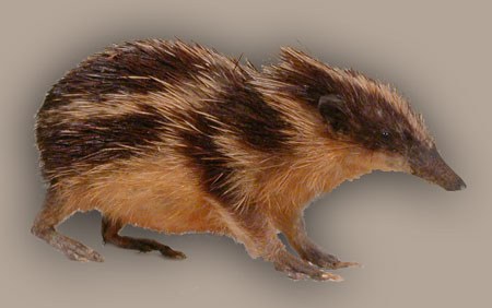 ����������, ���������� ��� :)