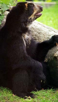 ������� ������� :)