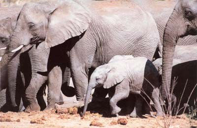 ������������ ���� ���������� :) (5 ����)