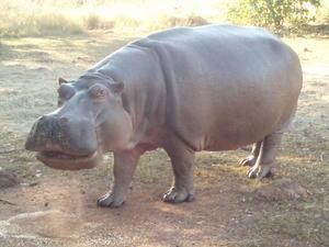 ������������ ���� ���������� :) (5 ����)