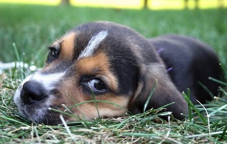 �������� ����� :) (13 ����)