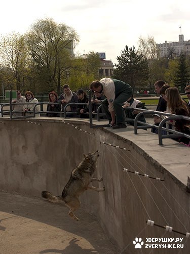 �� ���� ����� ������� ������� ������ :)