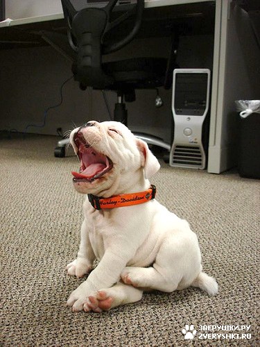 ������� � ������������ �����! :)