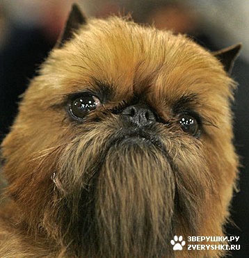 ���� ���� :)