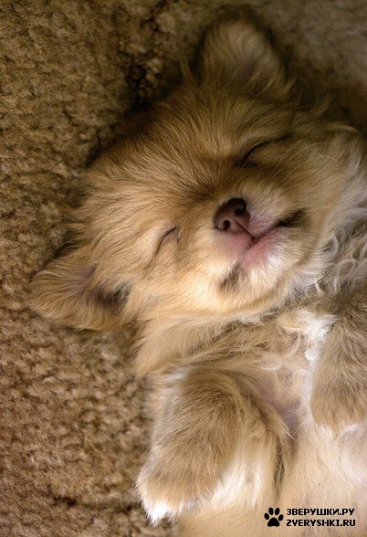 ��� ������ ����... :)