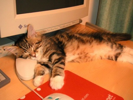 ��������� ��������