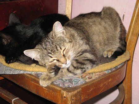 ��������� ��������