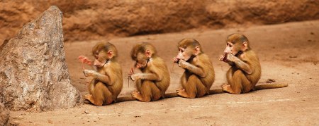 ��������� ��������