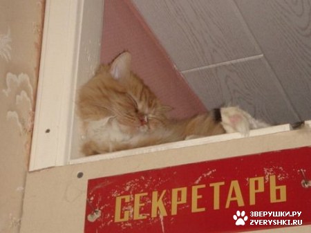 ��������� ��������