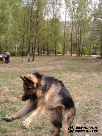 ��������� ��������