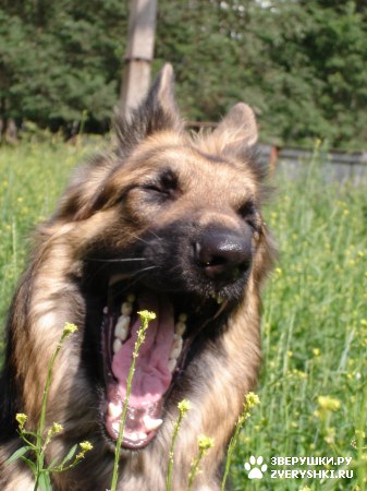 ��������� ��������