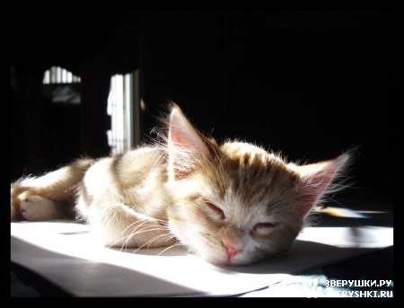 ��������� ��������