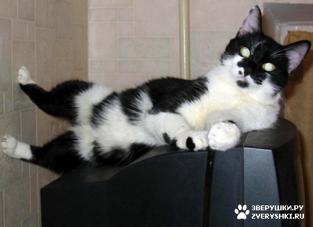 ��������� ��������