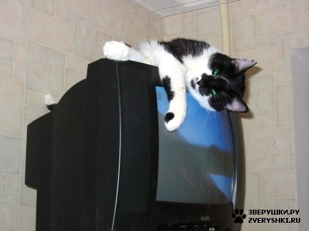 ��������� ��������