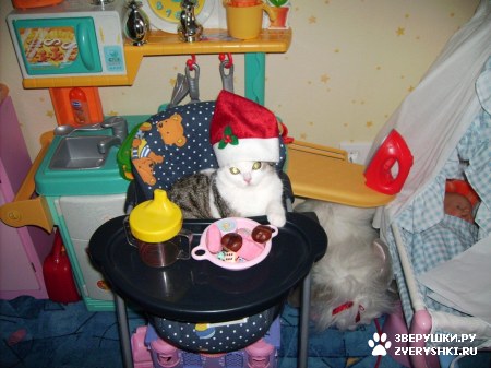 ��������� ��������