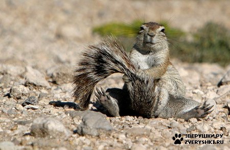 ��������� ��������