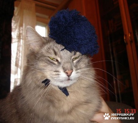 ��������� ��������