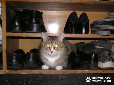 ��������� ��������