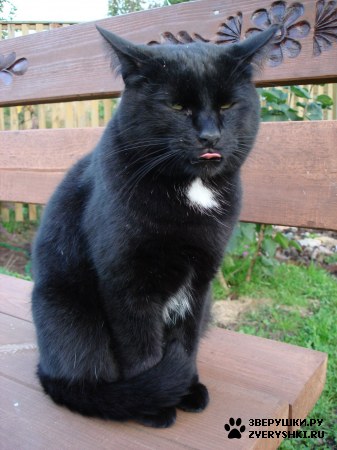 ��������� ��������