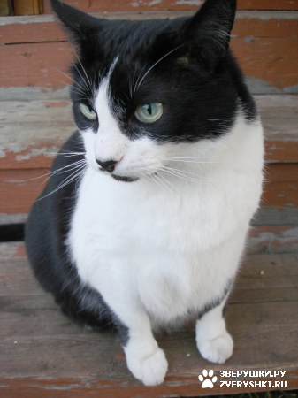 ��������� ��������