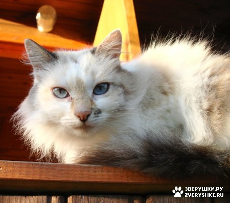 ��������� ��������