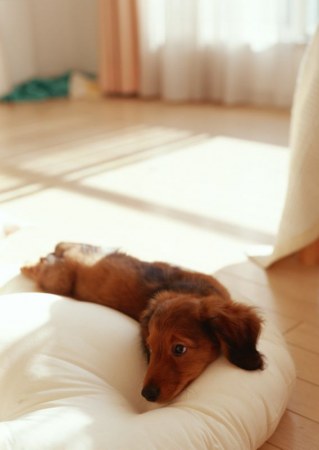 ��������� ��������