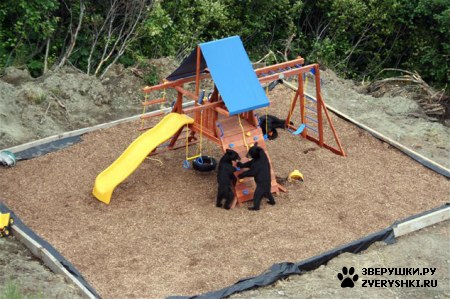 ��������� ��������