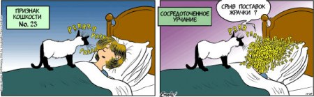 ��������� ��������