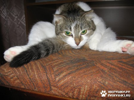 ��������� ��������