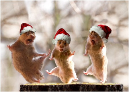 ��������� ��������