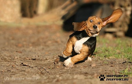 ��������� ��������