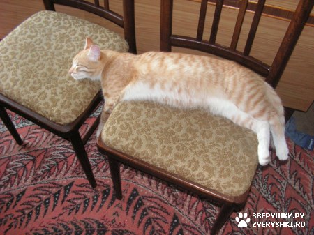 ��������� ��������