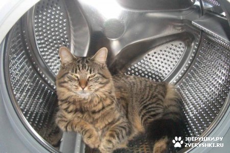 ��������� ��������