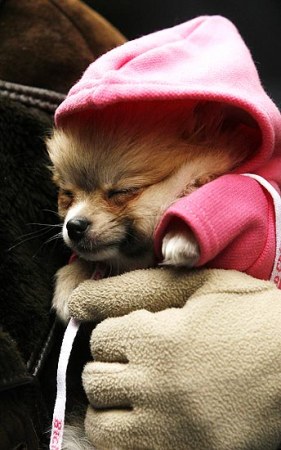 ��������� ��������