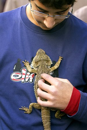 ��������� ��������